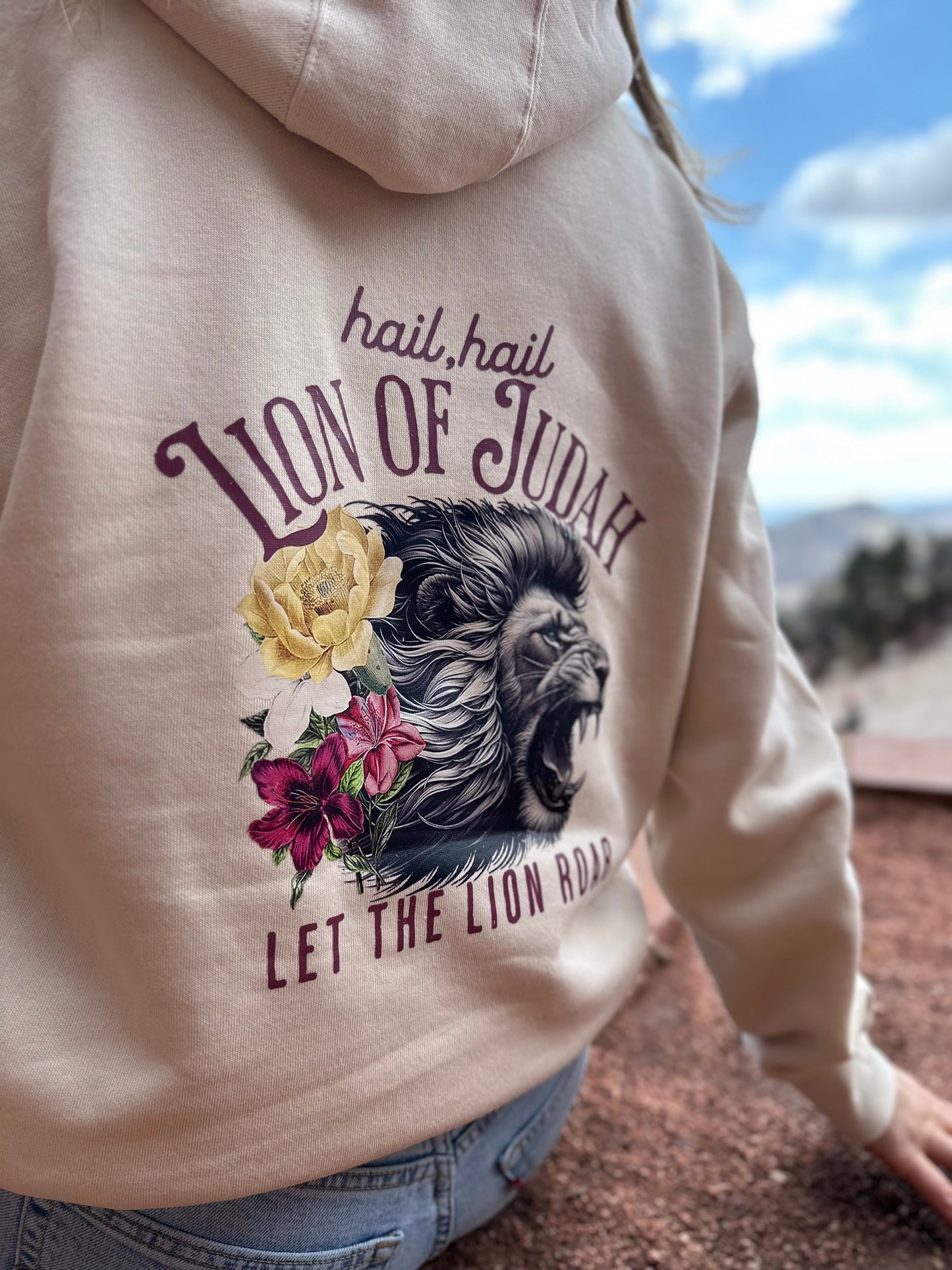 Hail Hail Lion of Judah Hoodie – Christian Streetwear Hoodie