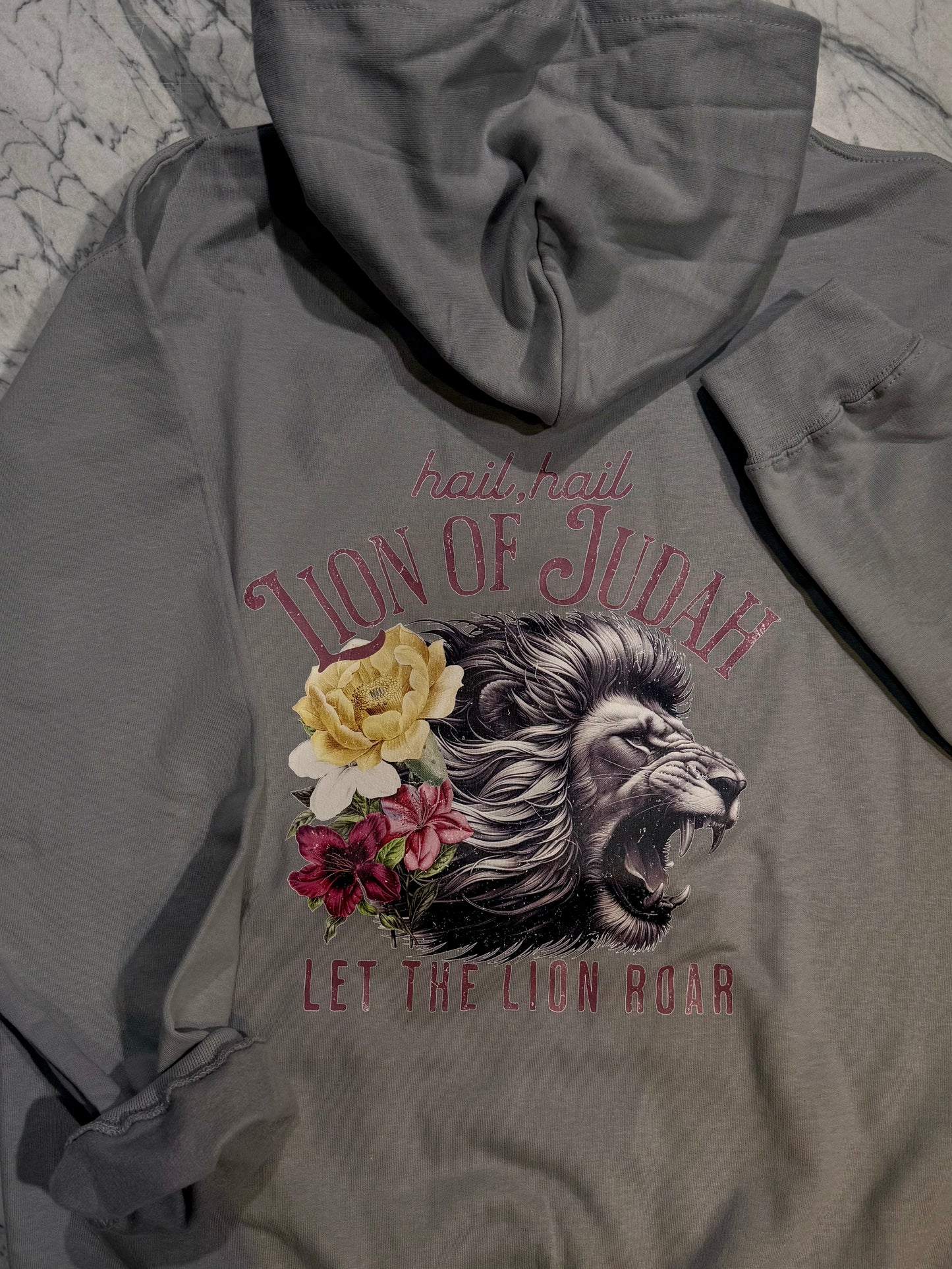 Hail Hail Lion of Judah Hoodie – Christian Streetwear Hoodie